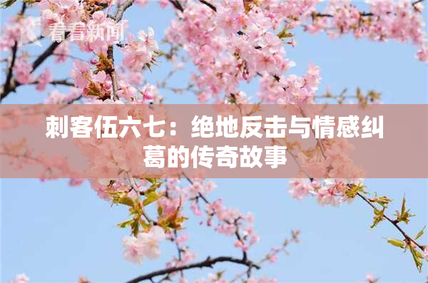 刺客伍六七：绝地反击与情感纠葛的传奇故事