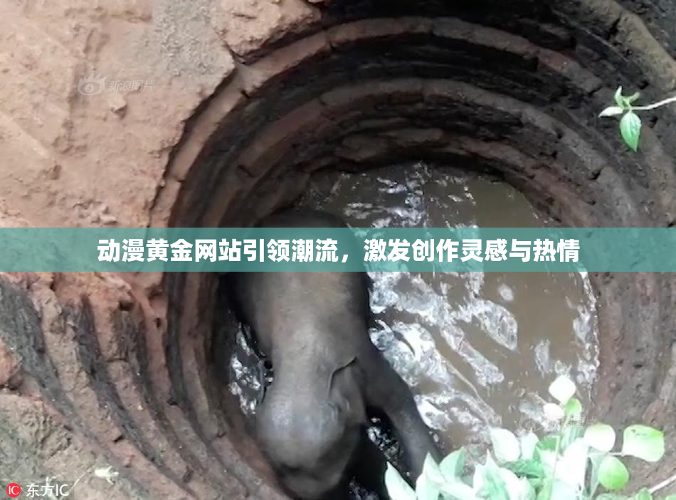 动漫黄金网站引领潮流，激发创作灵感与热情