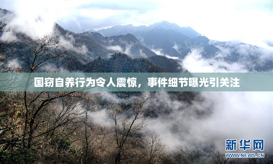 国窃自养行为令人震惊，事件细节曝光引关注