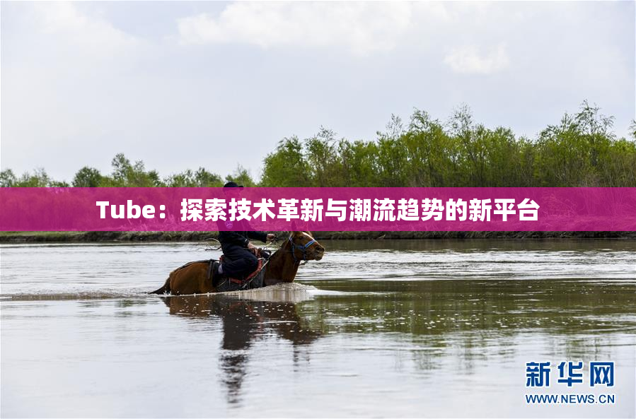 Tube：探索技术革新与潮流趋势的新平台