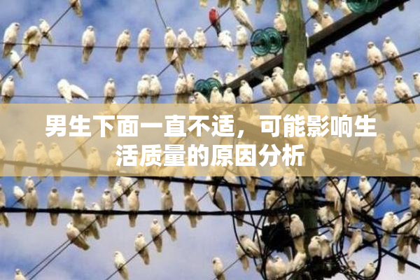 男生下面一直不适，可能影响生活质量的原因分析