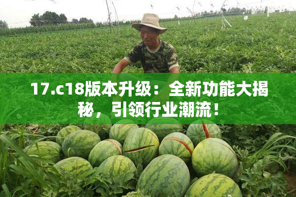 17.c18版本升级：全新功能大揭秘，引领行业潮流！