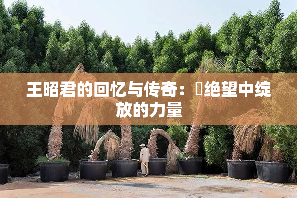 王昭君的回忆与传奇：從绝望中绽放的力量