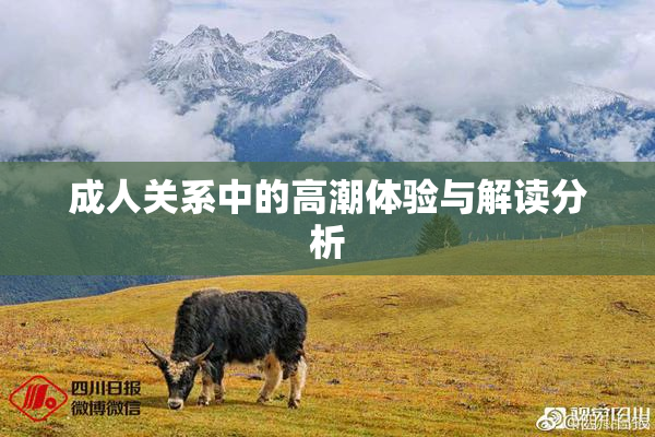 成人关系中的高潮体验与解读分析