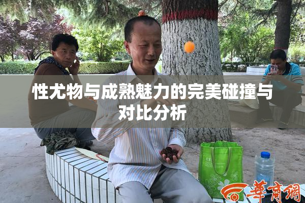 性尤物与成熟魅力的完美碰撞与对比分析