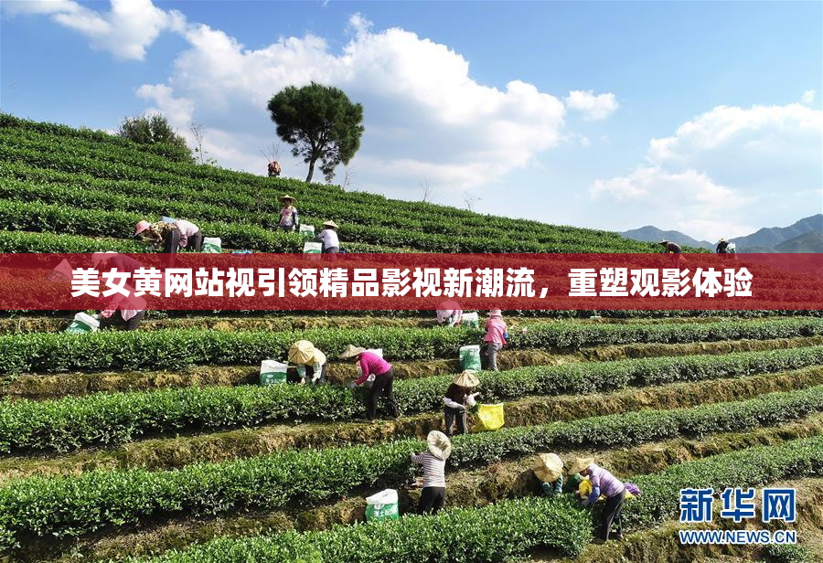 美女黄网站视引领精品影视新潮流，重塑观影体验