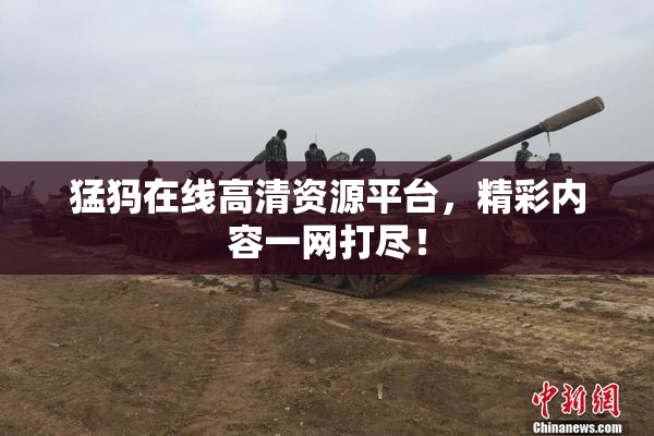 猛犸在线高清资源平台，精彩内容一网打尽！
