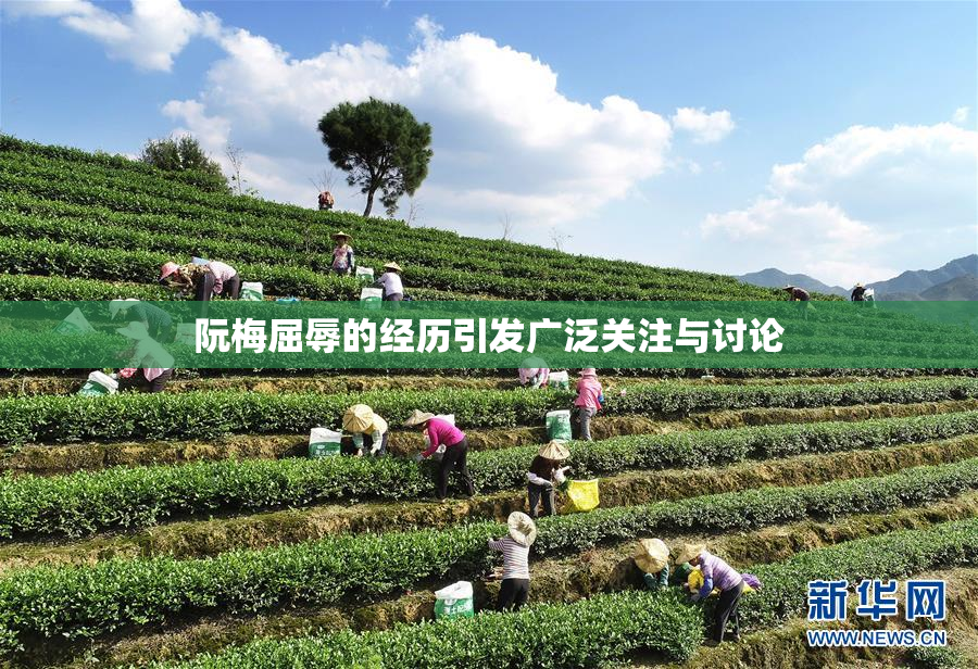 阮梅屈辱的经历引发广泛关注与讨论