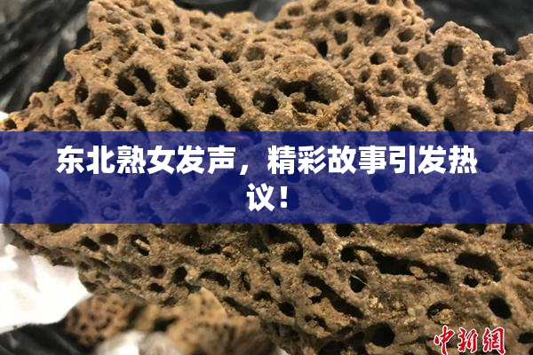 东北熟女发声，精彩故事引发热议！