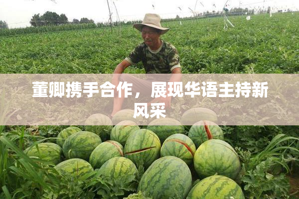 董卿携手合作，展现华语主持新风采