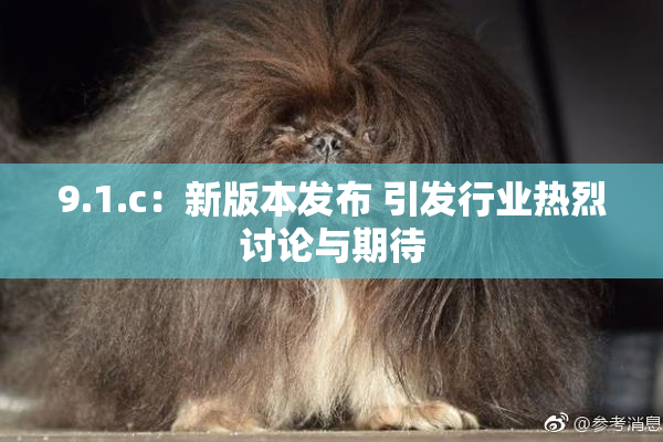 9.1.c：新版本发布 引发行业热烈讨论与期待