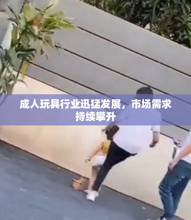 成人玩具行业迅猛发展，市场需求持续攀升