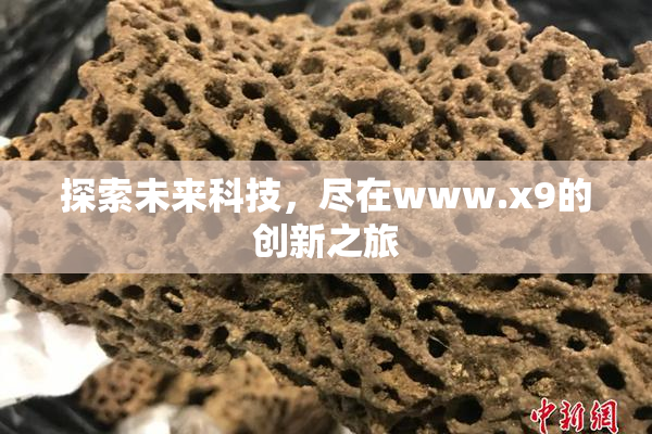 探索未来科技，尽在www.x9的创新之旅