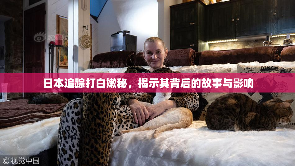 日本追踪打白嫩秘，揭示其背后的故事与影响