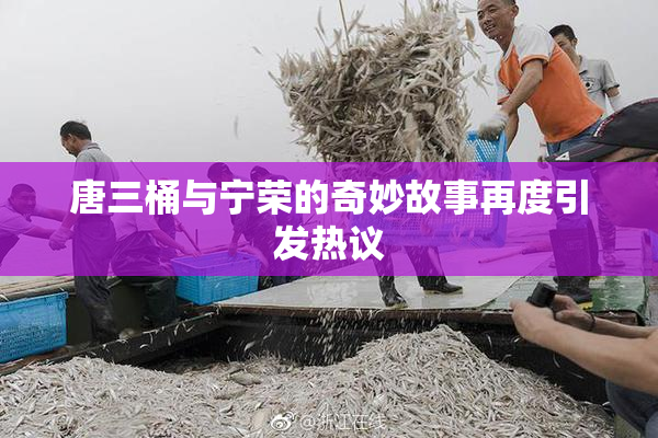 唐三桶与宁荣的奇妙故事再度引发热议