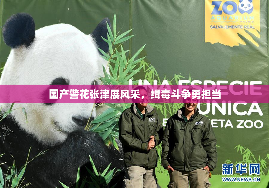 国产警花张津展风采，缉毒斗争勇担当