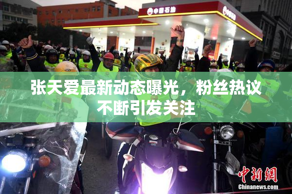 张天爱最新动态曝光，粉丝热议不断引发关注