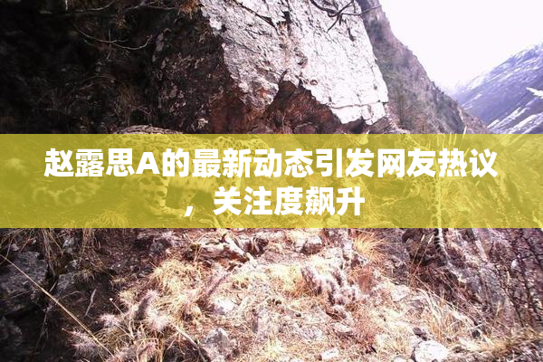 赵露思A的最新动态引发网友热议，关注度飙升