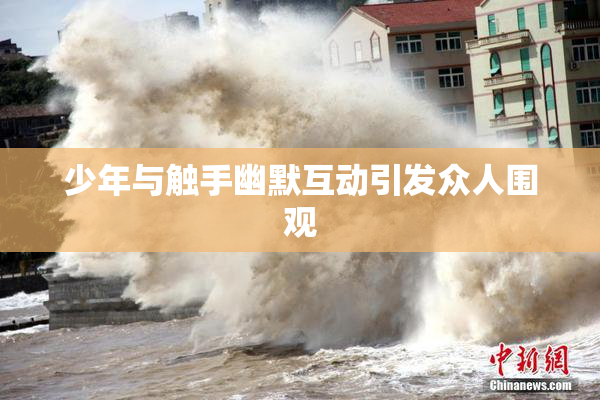 少年与触手幽默互动引发众人围观