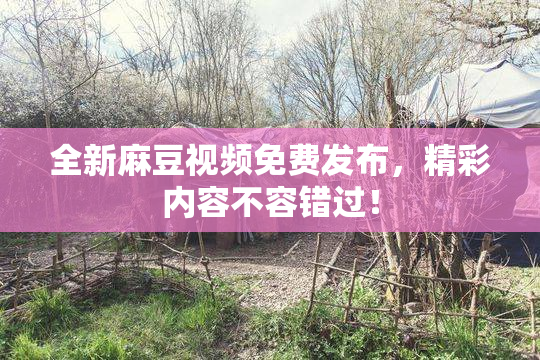 全新麻豆视频免费发布，精彩内容不容错过！
