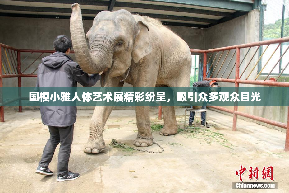 国模小雅人体艺术展精彩纷呈，吸引众多观众目光