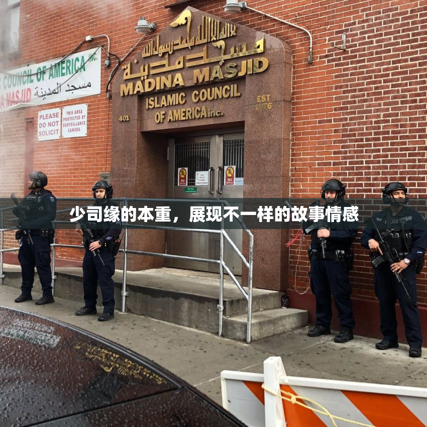 少司缘的本重，展现不一样的故事情感