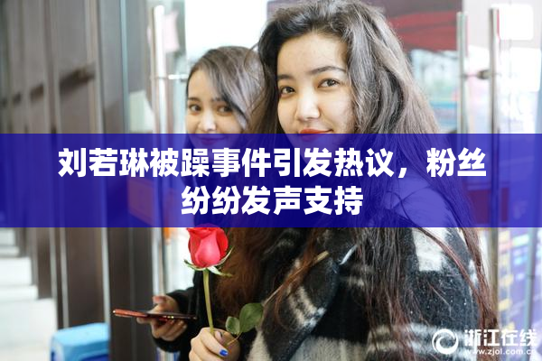 刘若琳被躁事件引发热议，粉丝纷纷发声支持