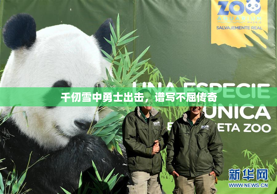 千仞雪中勇士出击，谱写不屈传奇