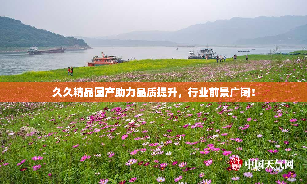 久久精品国产助力品质提升，行业前景广阔！