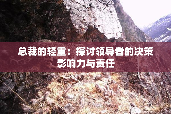 总裁的轻重：探讨领导者的决策影响力与责任