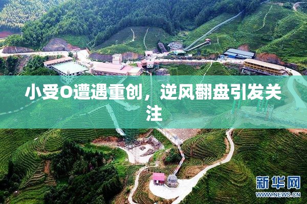 小受O遭遇重创，逆风翻盘引发关注