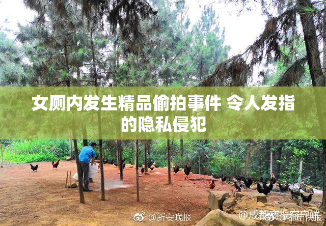 女厕内发生精品偷拍事件 令人发指的隐私侵犯