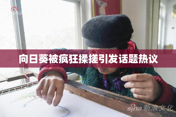 向日葵被疯狂揉搓引发话题热议