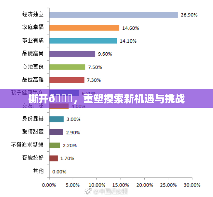 撕开👙，重塑摸索新机遇与挑战