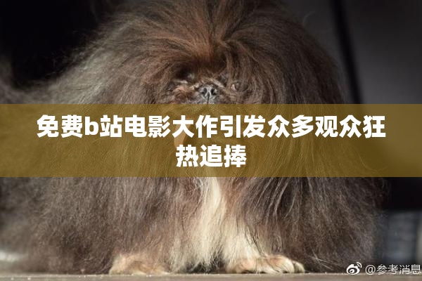 免费b站电影大作引发众多观众狂热追捧