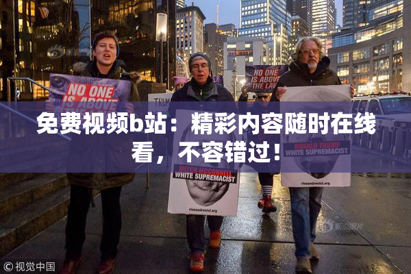 免费视频b站：精彩内容随时在线看，不容错过！
