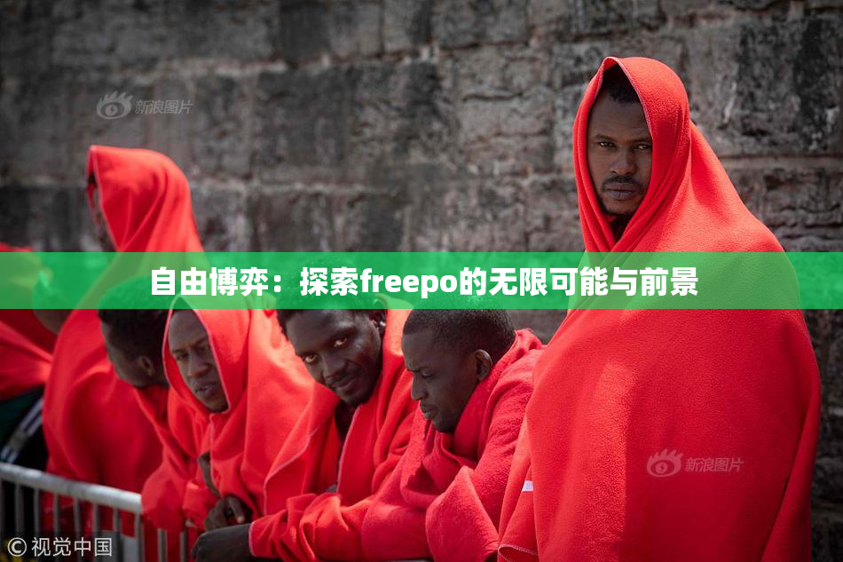 自由博弈：探索freepo的无限可能与前景