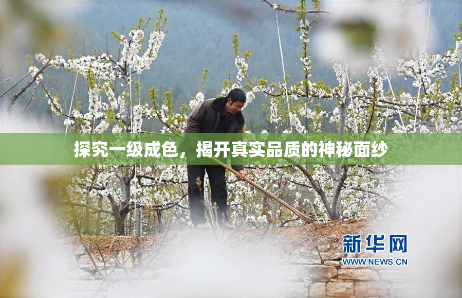 探究一级成色，揭开真实品质的神秘面纱