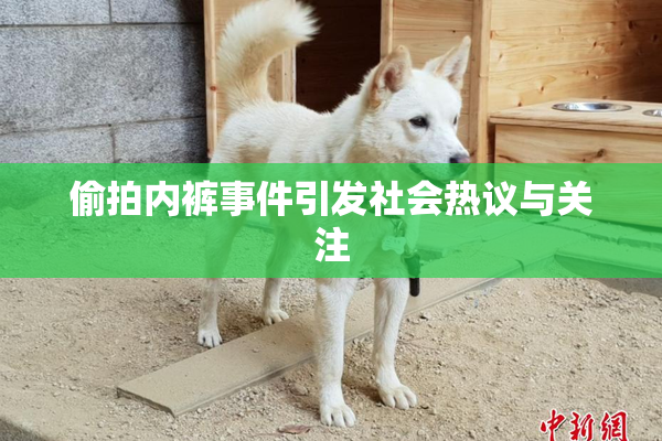 偷拍内裤事件引发社会热议与关注