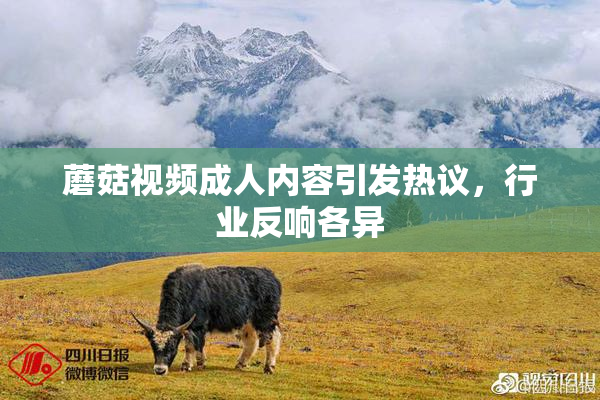 蘑菇视频成人内容引发热议，行业反响各异