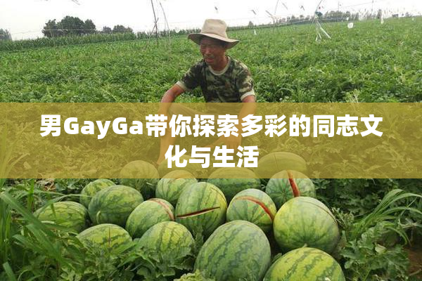 男GayGa带你探索多彩的同志文化与生活