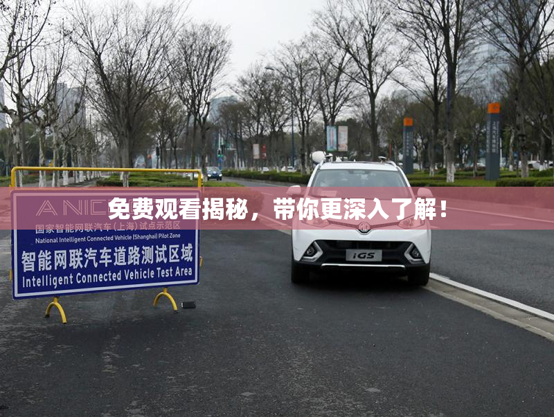 免费观看揭秘，带你更深入了解！