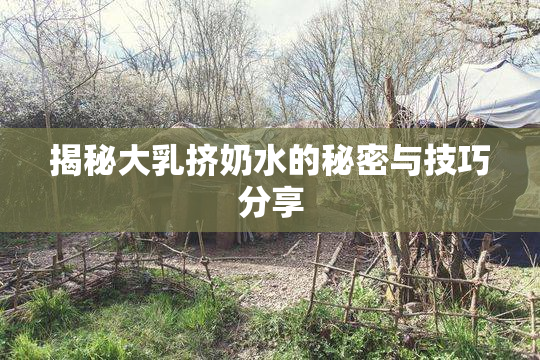 揭秘大乳挤奶水的秘密与技巧分享