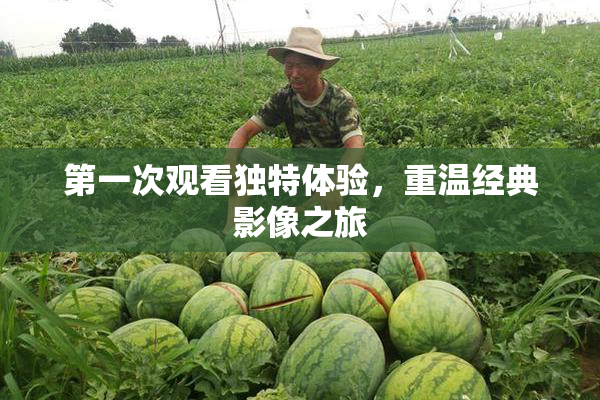 第一次观看独特体验，重温经典影像之旅