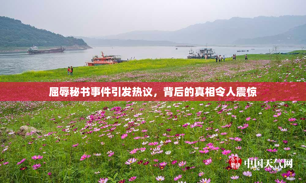 屈辱秘书事件引发热议，背后的真相令人震惊