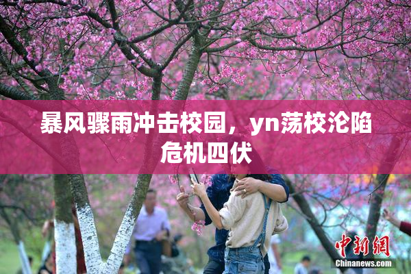 暴风骤雨冲击校园，yn荡校沦陷危机四伏