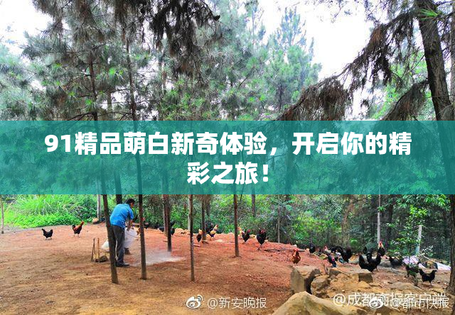 91精品萌白新奇体验，开启你的精彩之旅！