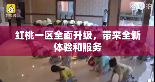 红桃一区全面升级，带来全新体验和服务