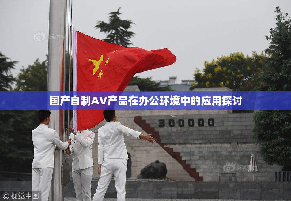国产自制AV产品在办公环境中的应用探讨