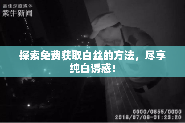 探索免费获取白丝的方法，尽享纯白诱惑！
